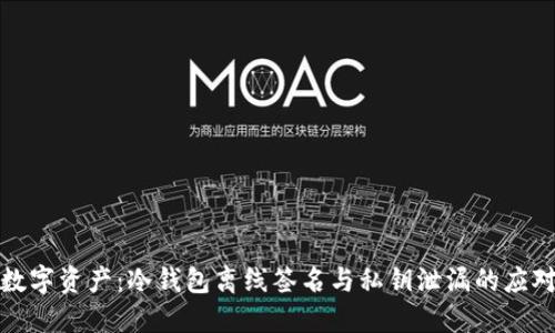 保护数字资产：冷钱包离线签名与私钥泄漏的应对策略