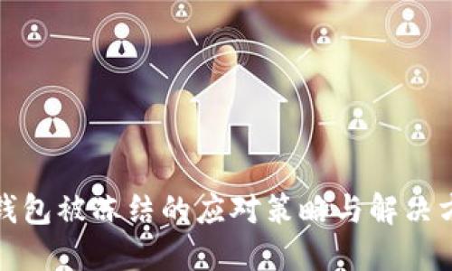 冷钱包被冻结的应对策略与解决方案