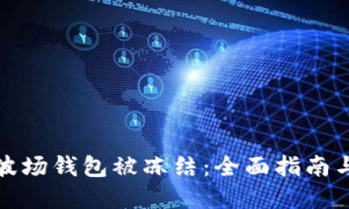 如何应对波场钱包被冻结：全面指南与解决方案