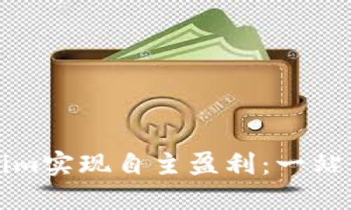 如何通过Tokenim实现自主盈利：一站式加密投资指南