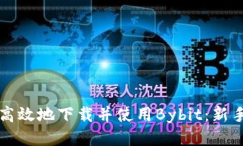 如何安全高效地下载并使用Bybit：新手必读指南