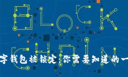 数字钱包被锁定：你需要知道的一切