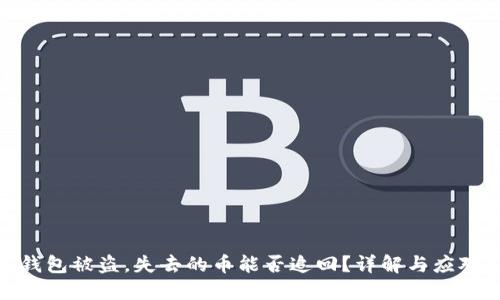 数字钱包被盗，失去的币能否追回？详解与应对策略