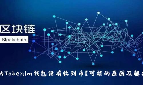 为什么你的Tokenim钱包没有收到币？可能的原因及解决方案详解