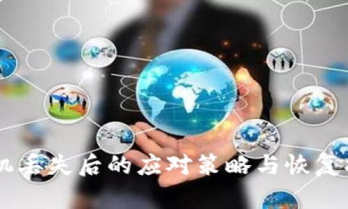 手机丢失后的应对策略与恢复指南