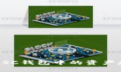 如何查看BSC钱包中的资产和交易记录