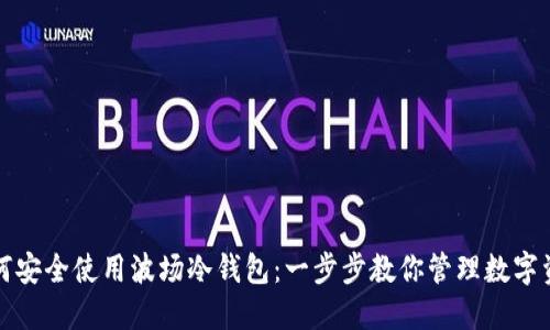 如何安全使用波场冷钱包：一步步教你管理数字资产