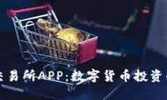 探索VV币交易所APP：数字货币投资的实用指南