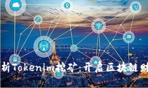 深入解析Tokenim挖矿：开启区块链财富之门