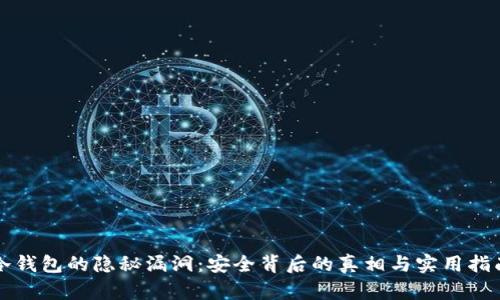 冷钱包的隐秘漏洞：安全背后的真相与实用指南