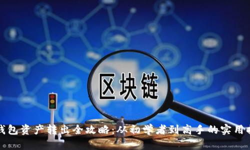 冷钱包资产转出全攻略：从初学者到高手的实用指南