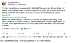 关于 Tokenim 这样的项目未来是否会消失，是一个
