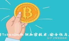 深入理解Tokenim私钥加密技术：安全性与应用前景