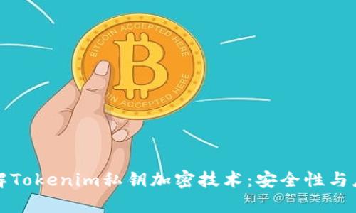 深入理解Tokenim私钥加密技术：安全性与应用前景