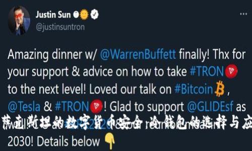 哈萨克斯坦的数字货币安全：冷钱包的选择与应用