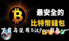 如何安全下载与使用BitPay钱包：一步步指导