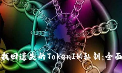 如何找回遗失的TokenIM私钥：全面指南