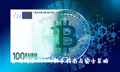 如何购买USDT：新手指南与安全策略