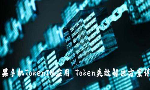 苹果手机TokenIM应用 Token失效解决方案详解