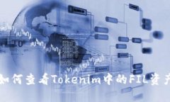 如何查看Tokenim中的FIL资产