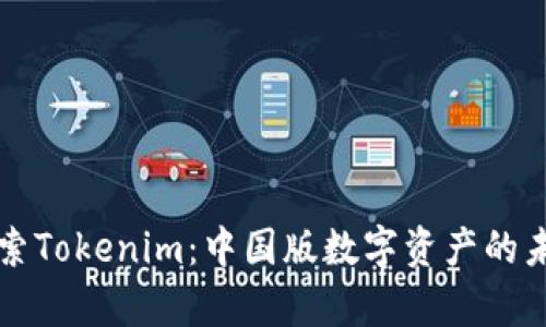 深入探索Tokenim：中国版数字资产的未来前景